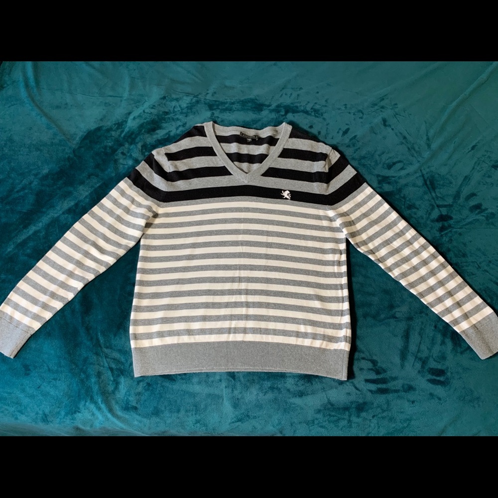 Express/ V-Neck Sweater